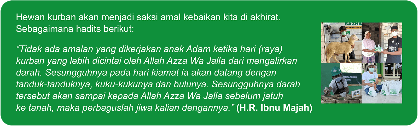 visual landing page kbb_Hikmah Kurban 3_1