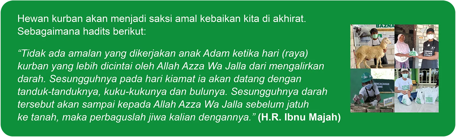 visual landing page kbb_Hikmah Kurban 3_1